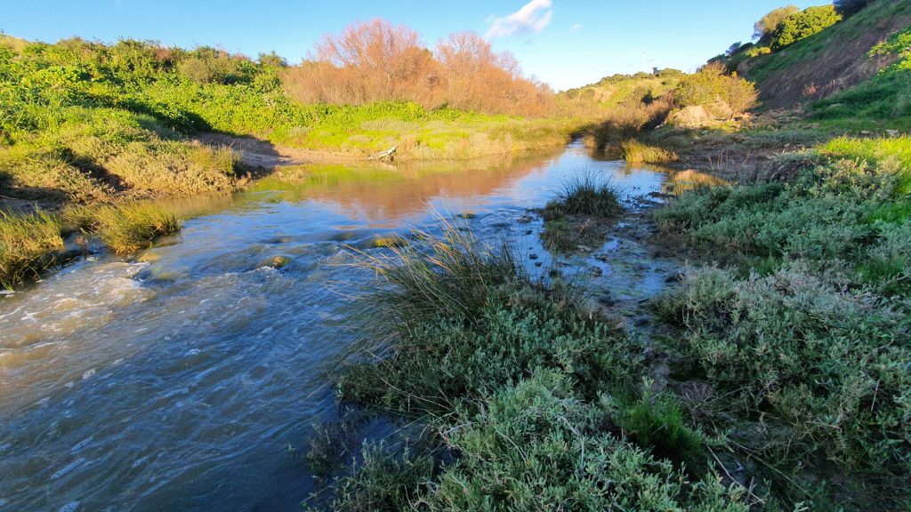 EL LÍMITE ENTRE CONIL Y VEJER omimg 20210222 182208